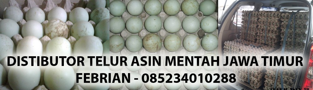 distributor telur asin murah pembelian hubungi FEBRIAN 
